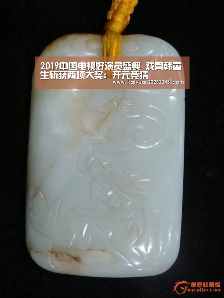2019中国电视好演员盛典 戏骨韩童生斩获两项大奖:开元竞猜(图3) 开元APP