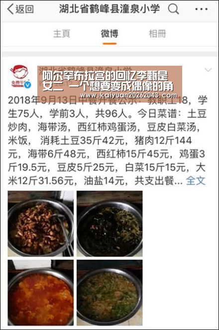 阿尔罕布拉宫的回忆李甄是女二 一个想要变成偶像的角色_开元竞猜(图4) 开元竞猜
