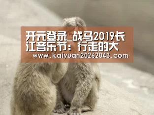 开元登录_战马2019长江音乐节:行走的大提琴——王晰的户外音乐节首秀(图1) 开元登录