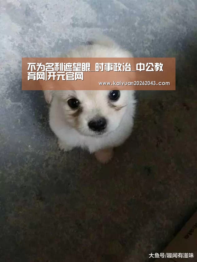 开元登录